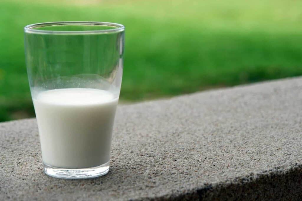 乳鐵蛋白食物主要為哺乳類動物的乳汁