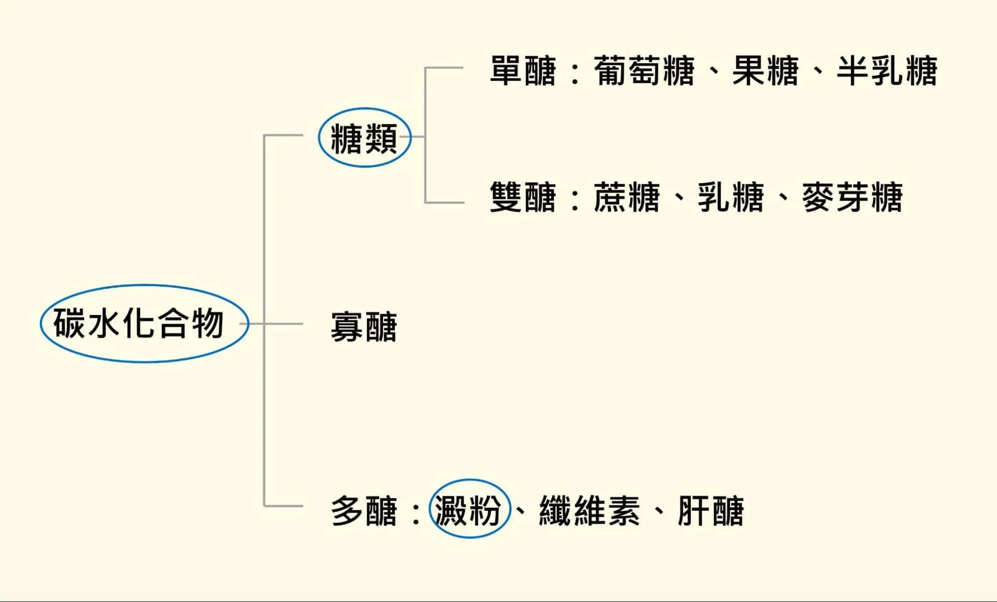 碳水化合物、糖類、澱粉的關係